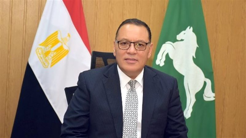 محافظ الشرقية