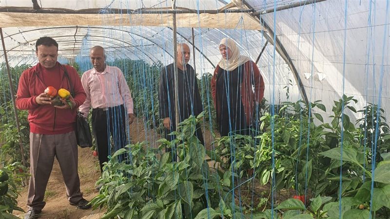 زراعة الإسماعيلية