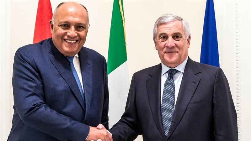 سامح شكري مع نظيره