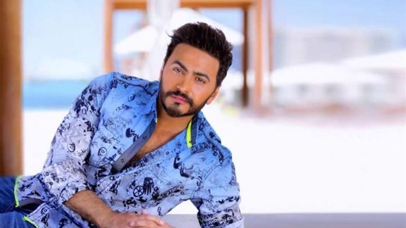 الفنان تامر حسني،