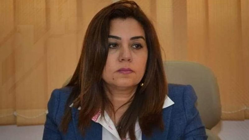 محافظ دمياط