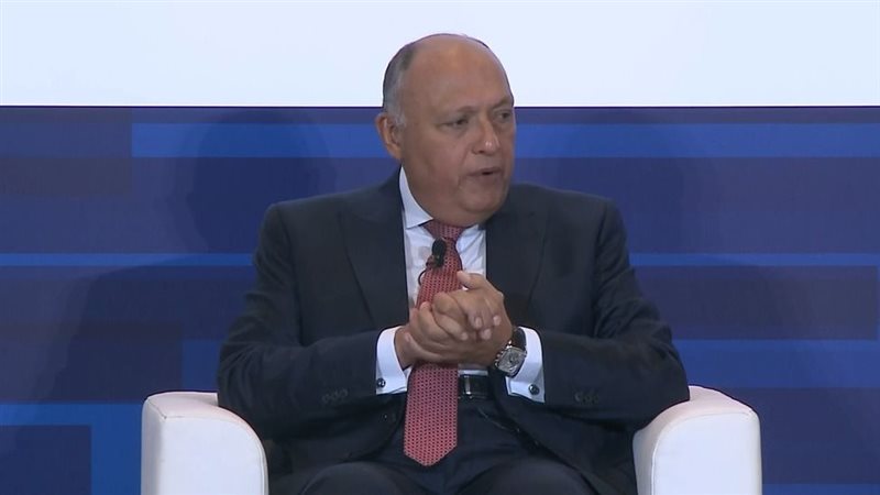 سامح شكري وزير الخارجية