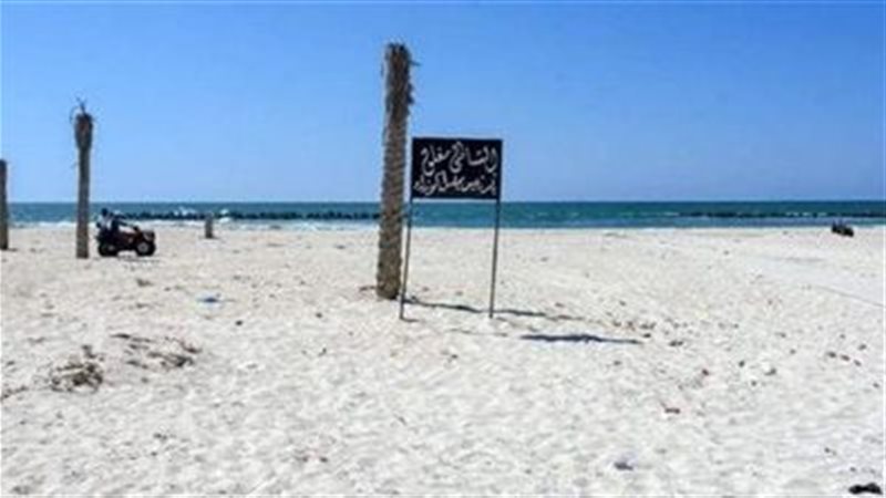شاطيء النخيل 
