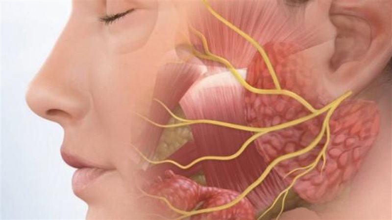 أعراض العصب الخامس