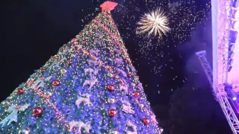 شجرة الميلاد