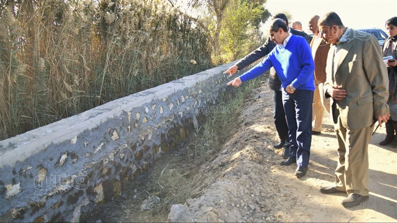 محافظ الغربية