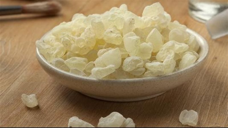 فوائد المستكة 
