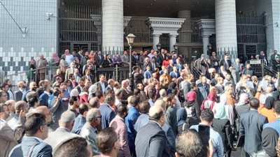 محامو الإسكندرية يحتجون ضد التسجيل في الفاتورة الإلكترونية|صور