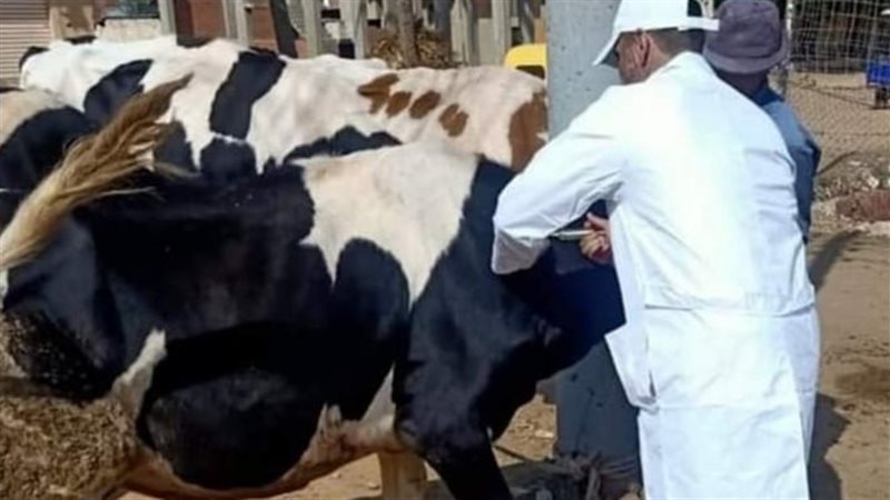 انطلاق الحملة القومية