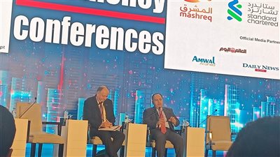 وزير المالية يكشف تأثير خفض الجنيه المصري على الموازنة العامة للدولة