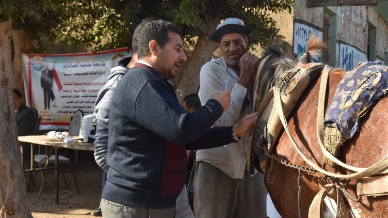 قافلة بيطرية، فيتو