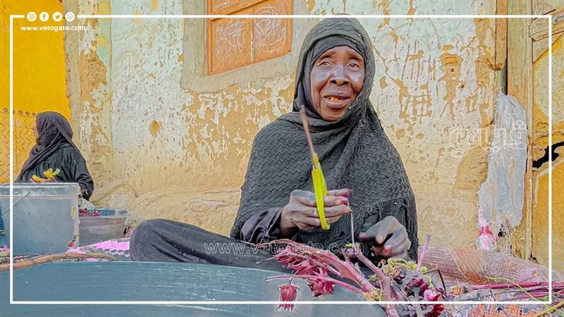 رحلة حصاد الكركديه