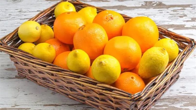 فوائد البرتقال والليمون،