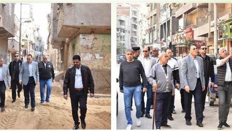 محافظ الشرقية، فيتو