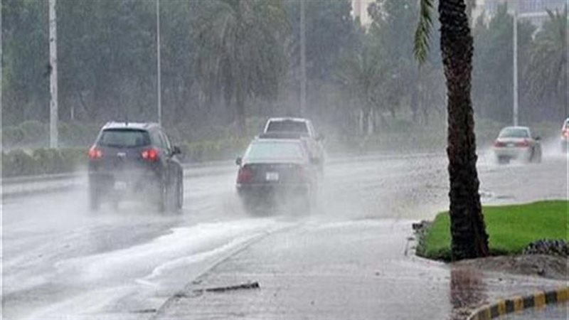 حالة الطقس، فيتو