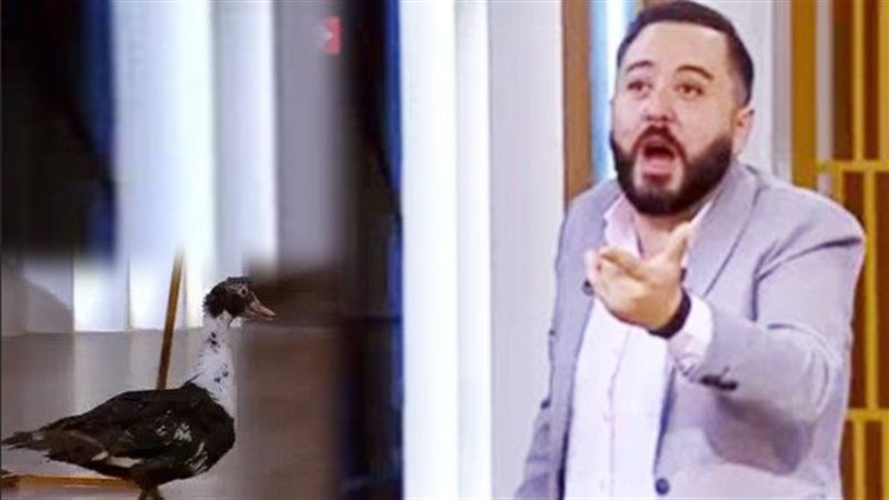 بطة في إستوديو قناة