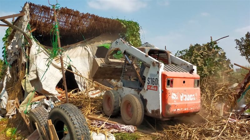 زراعة المنوفية، فيتو