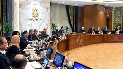 قرارات مجلس الوزراء، مدبولي يكلف بوضع بدائل للتعامل حال استمرار الأزمة الروسية الأوكرانية