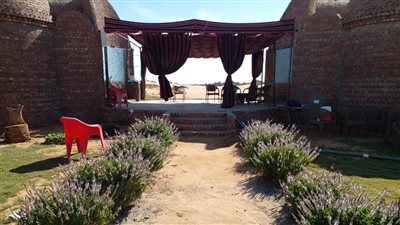 المزرعة السمكية وسط صحراء الوادي الجديد (صور)