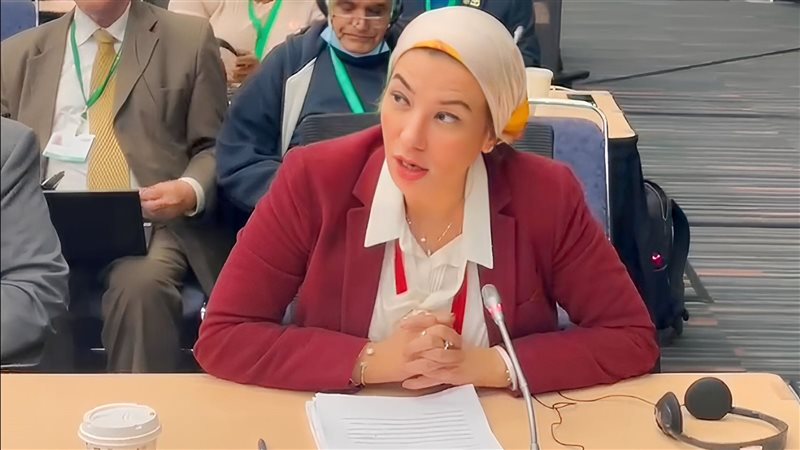 الدكتورة ياسمين فؤاد