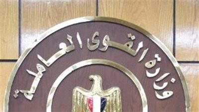 القوى العاملة: تسليم شهادات إتمام التدريب لـ 90 خريجا بقنا 