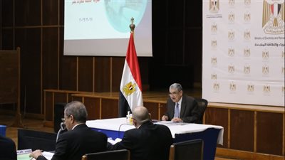 43 مليون جنيه استثمارات بالشركة القابضة لكهرباء مصر
