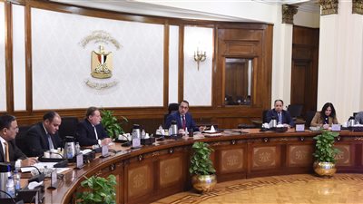 قرارات مجلس الوزراء، الحصاد الأسبوعي لـ حكومة مصطفى مدبولي (إنفوجراف)