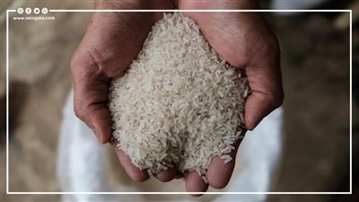  استقرار أسعار الأرز بالسوق المحلية اليوم الإثنين 