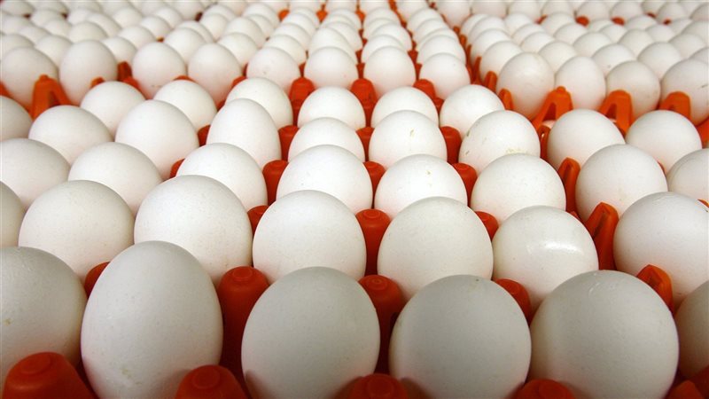 اسعار البيض اليوم،فيتو