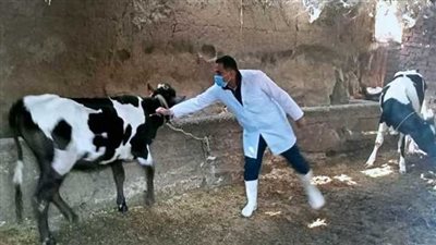 وزير الزراعة: تحصين 5.9 مليون رأس ماشية ضد الحمي القلاعية والوادي المتصدع