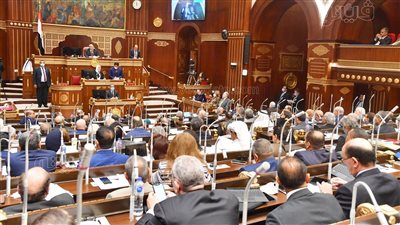  الجزر الصناعية مورد مهم للاقتصاد المصري.. مجلس الشيوخ يبحث خطة الحكومة لتنميتها والتوسع فيها.. وأبو قير الجديدة نموذجا