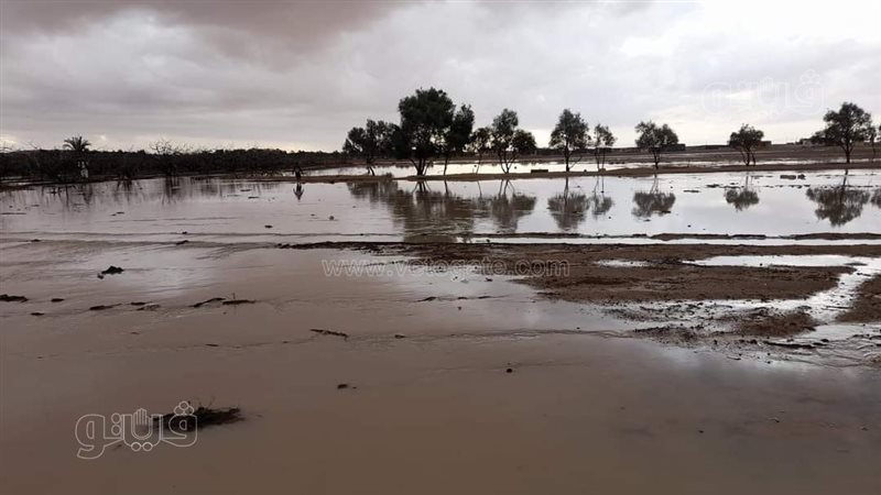 مياه الأمطار بمطروح،