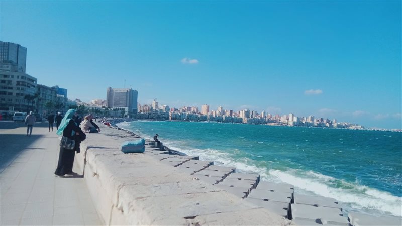 محافظة الاسكندرية،فيتو