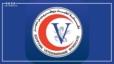 نقابة البيطريين تقدم خدمة جديدة لأعضائها 