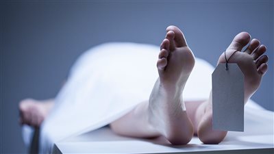 قرار جديد ضد المتهمين بقتل شاب ذبحًا داخل حقيبة سيارة بالقاهرة الجديدة