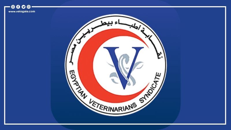 نقابة البيطريين
