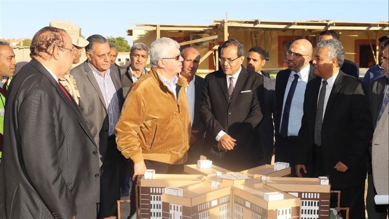 الدكتور أيمن عاشور