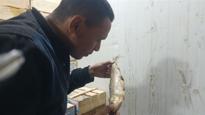 تموين الإسكندرية،فيتو
