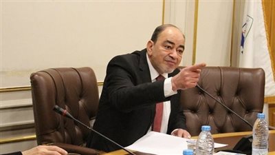 إسماعيل عبده: يجب وضع حدود للقطاع الخاص أثناء تطبيق سياسة ملكية الدولة 
