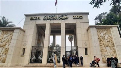 حديقة حيوان الجيزة، الزراعة تنفي إغلاق حديقة الحيوان: التطوير بالتوازي مع استقبال الزوار