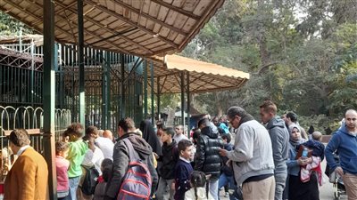 حديقة حيوان الجيزة، الزراعة: ملكية الحديقة ستظل للوزارة بعد التطوير