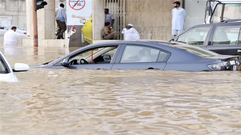 السعودية، فيتو