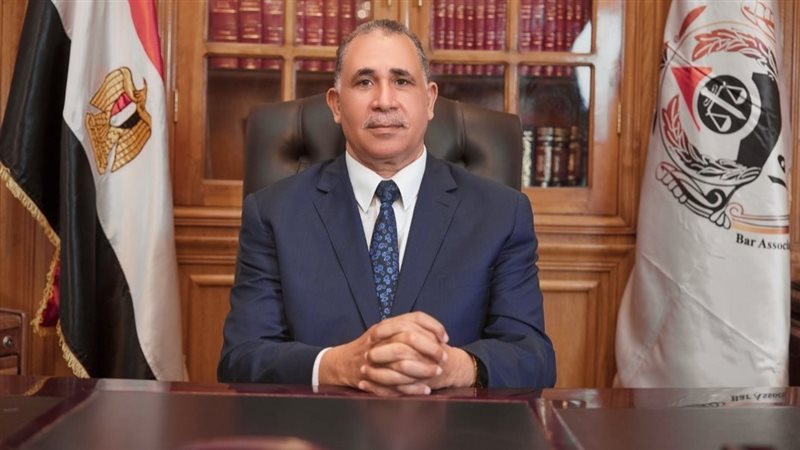 نقيب المحامين، فيتو