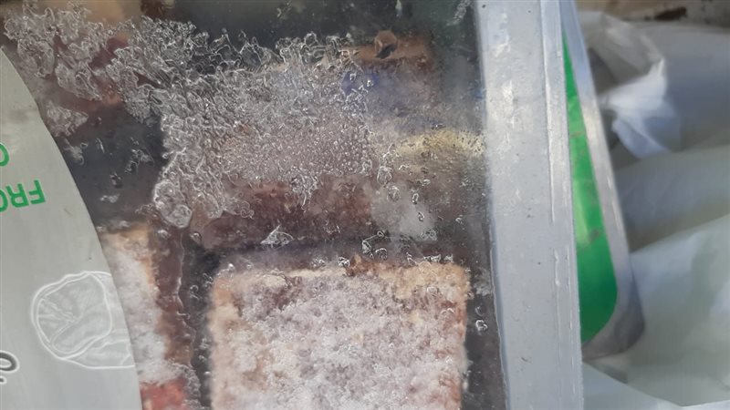 مضبوطات الاقصر،فيتو