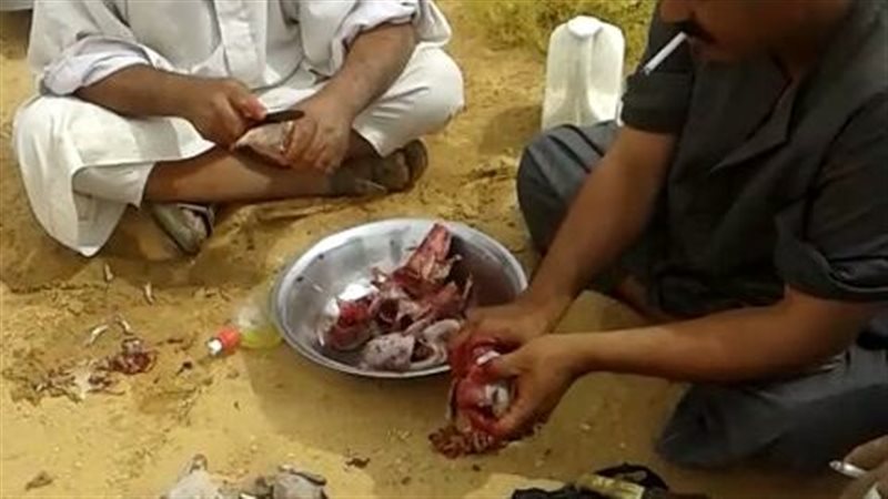 بط بري،فيتو