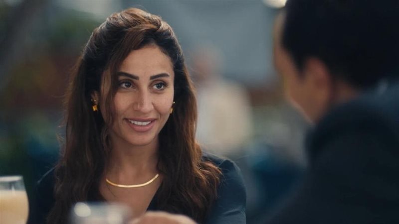 الفنانة دينا الشربيني،