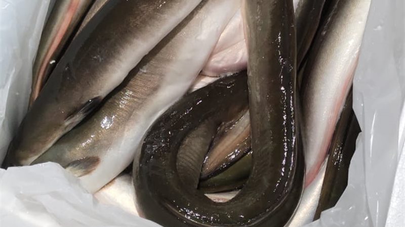 المضبوطات بحوزة جمارك