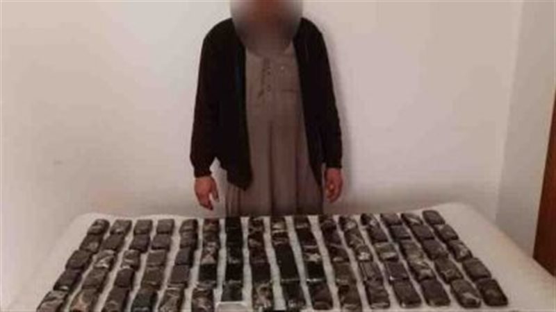 مخدر الحشيش، فيتو