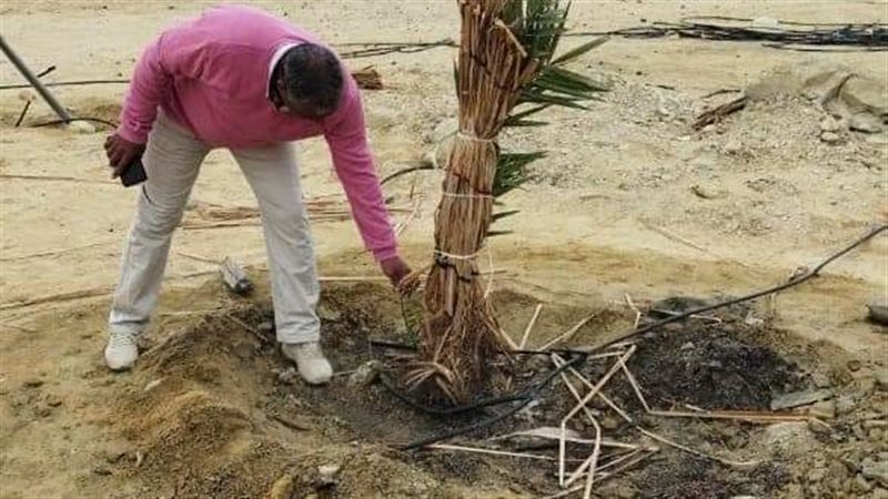 انشاء مزرعة نموذجية