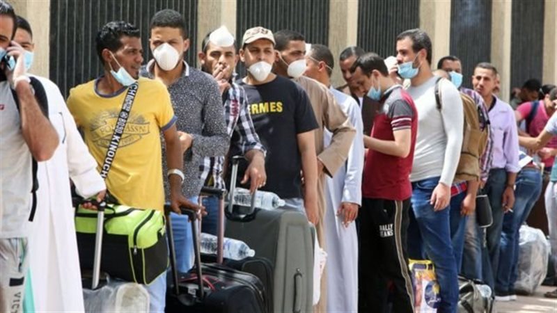 العمالة المصرية،